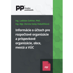 Informácie o účtoch pre rozpočtové organizácie a príspevkové organizácie, obce, mestá a VÚC