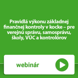 Pravidl vkonu zkladnej finannej kontroly v kocke  pre verejn sprvu, samosprvu, koly, VC a kontrolrov