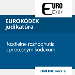 Rozdielne rozhodnutia k procesnm kdexom (ONLINE verzia)